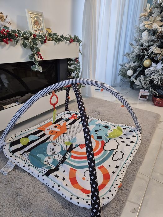 Salteluta Fisher Price - Activitati si distractie