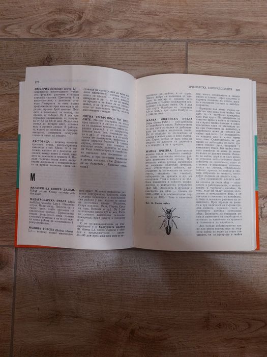 Пчеларска енциклопедия