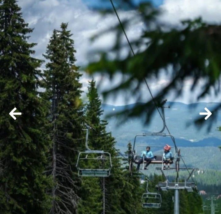 Продава се Парцел в к.к. Пампорово - 332 кв.м за 76 €/кв.м - Снимка #13