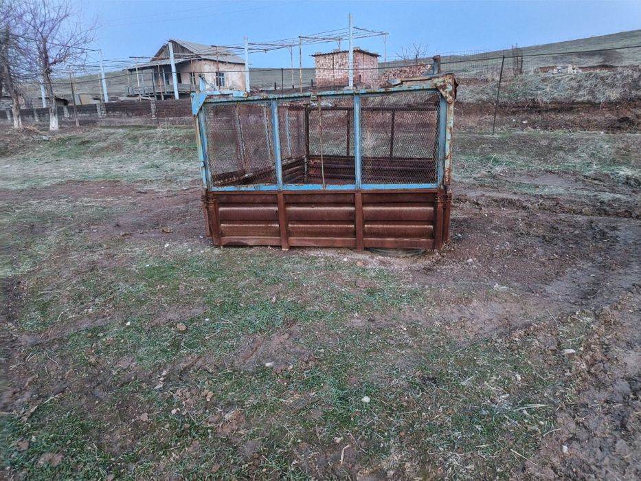 Prseb sotiladi tilichka