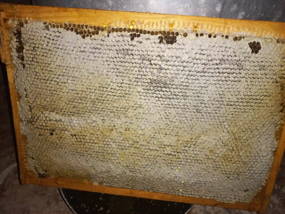 Продам мёд разнотравье