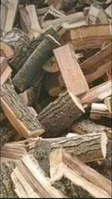 Дърва за Огрев 2024