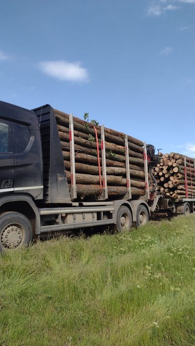 Lemn foc cantitati mari