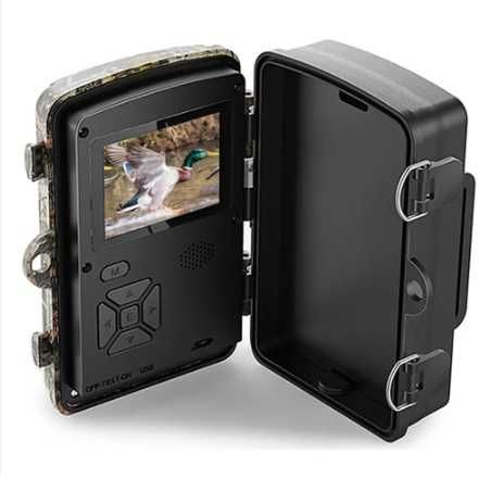 Camera Supraveghere, Padure, Camping Casa, Vanatoare