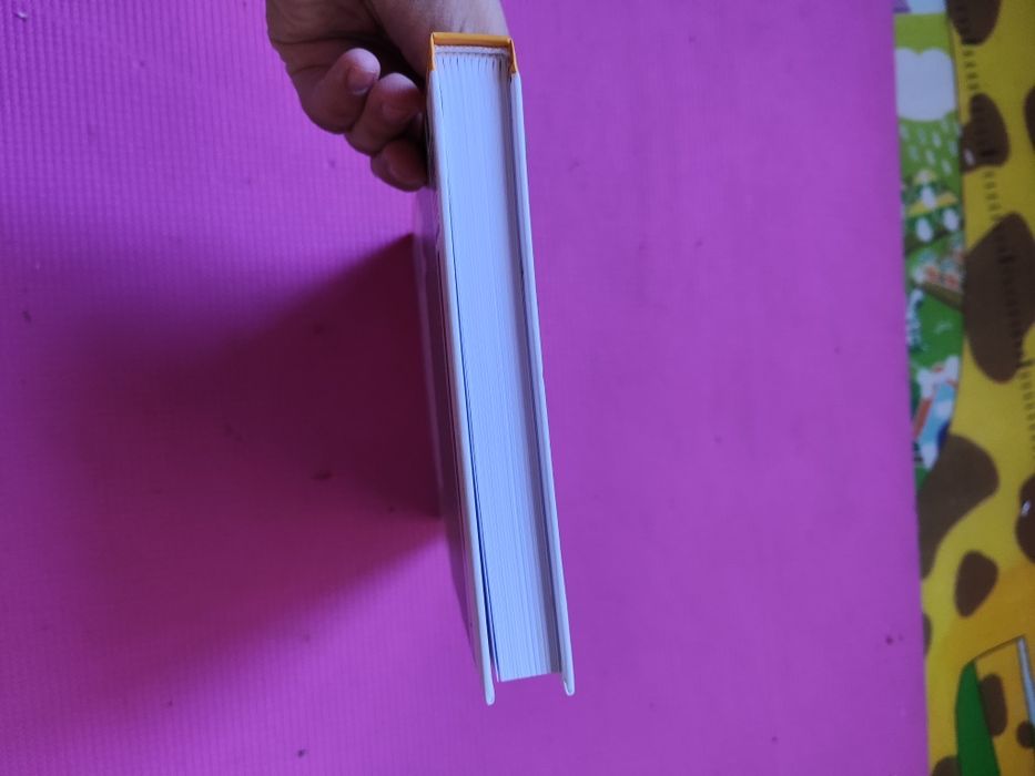 Мисия майка книга Илиян Найденов