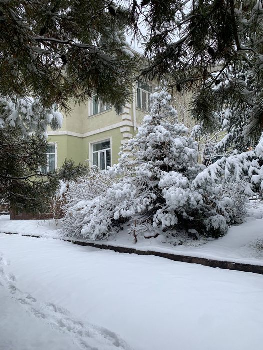 Аренда коттеджа посуточно