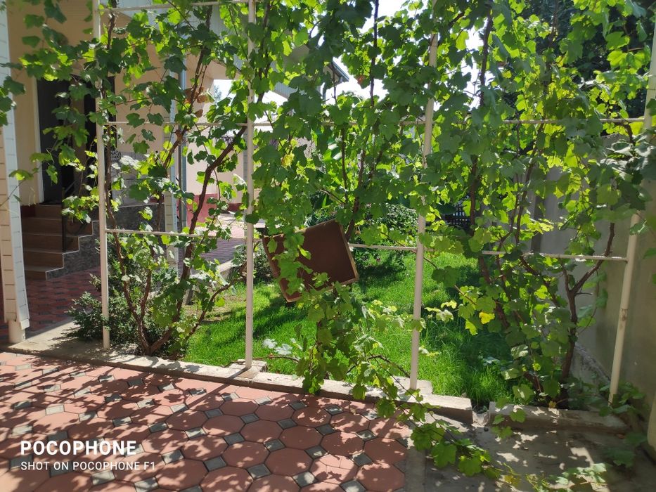 Срочно продается дом в Воднике (Куйлюк