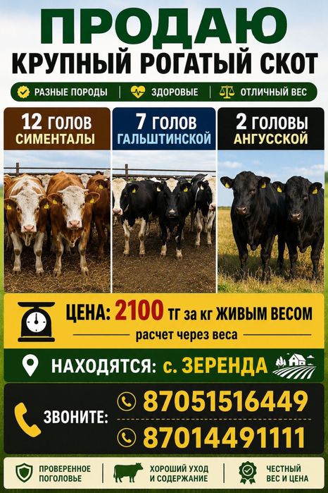 Срочная продажа, быки!