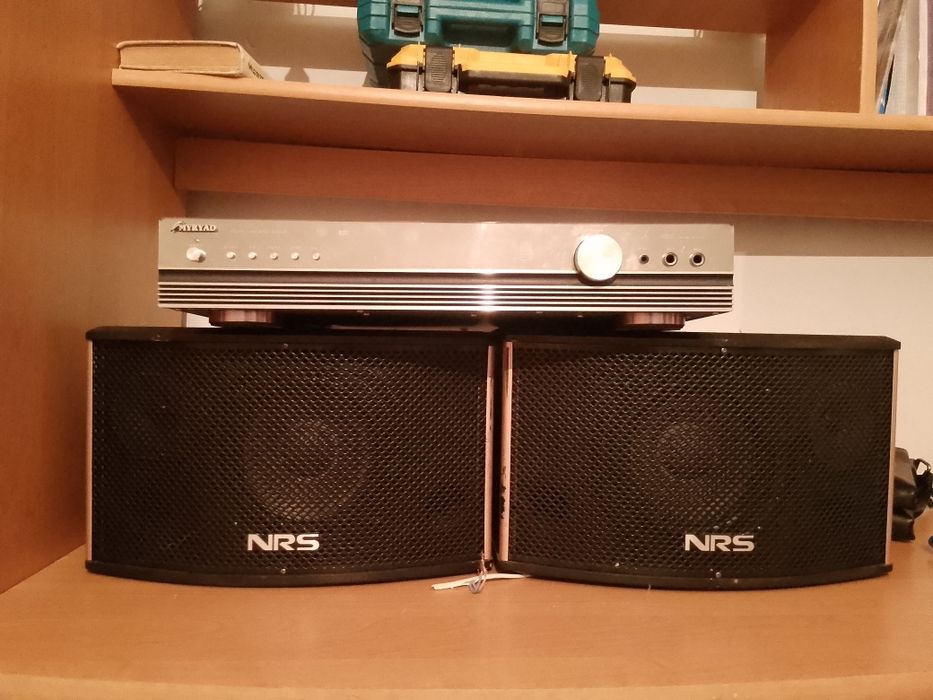 Колонки с услителем