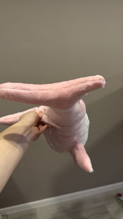 Игрушка Акула для подарка