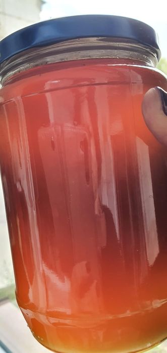 Продавам Билков Мед от Родопите