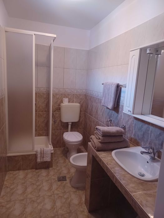 Camere renovate cu baie si intrare proprie la curte