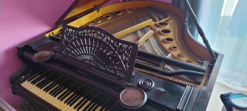 rudolf stelzhammer - in stare buna si acordat recent