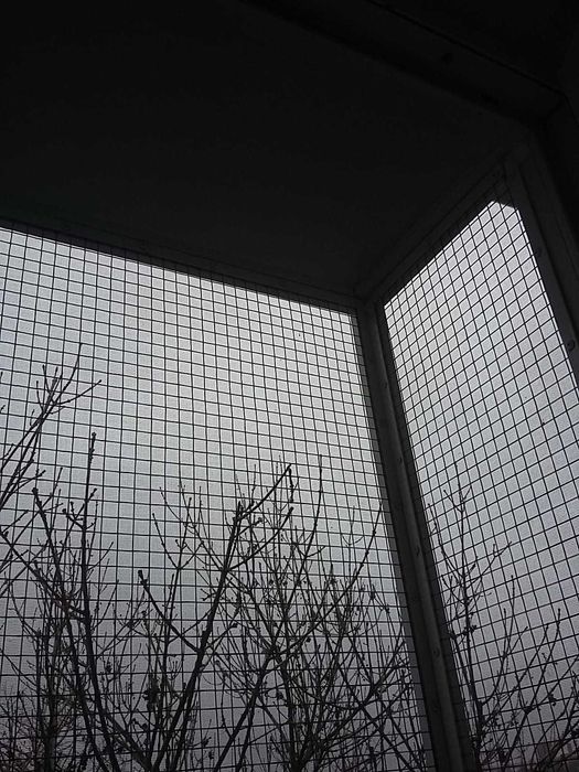 Vand cusca termopan pisici