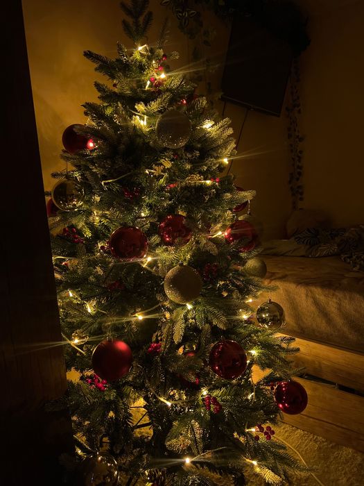 Ёлка на новый год