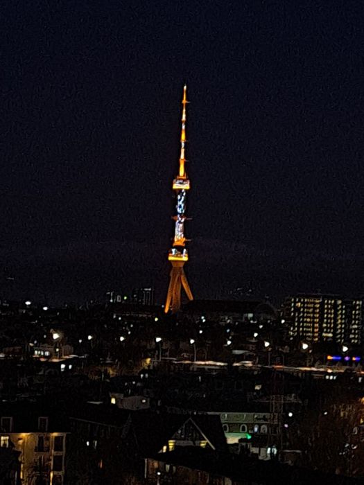 ЖК Almazar City 1 - Комн. - Новостройка-Аренда.