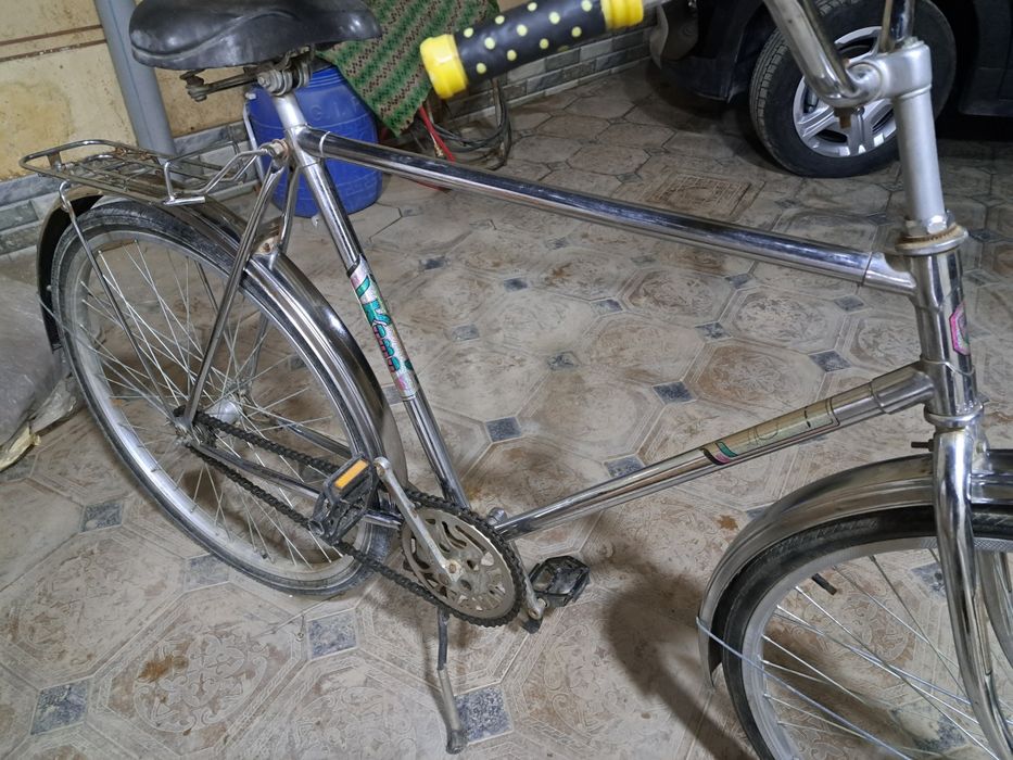 Велик аяст сотилади.