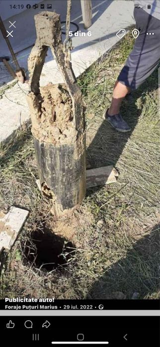 Foraje puturi preturi de sezon !!