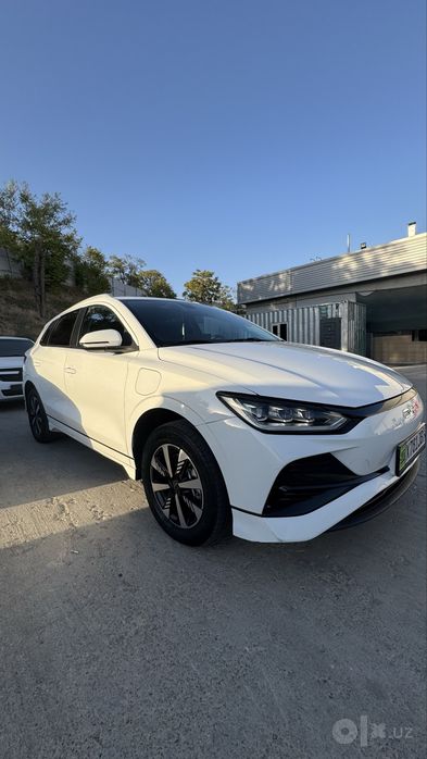 BVD Y2 EV 2024.