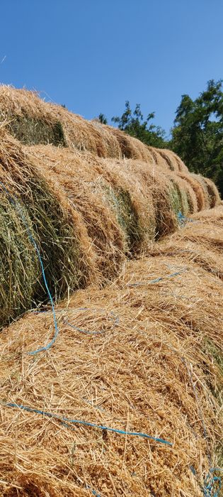 Vâd baloții 150/120