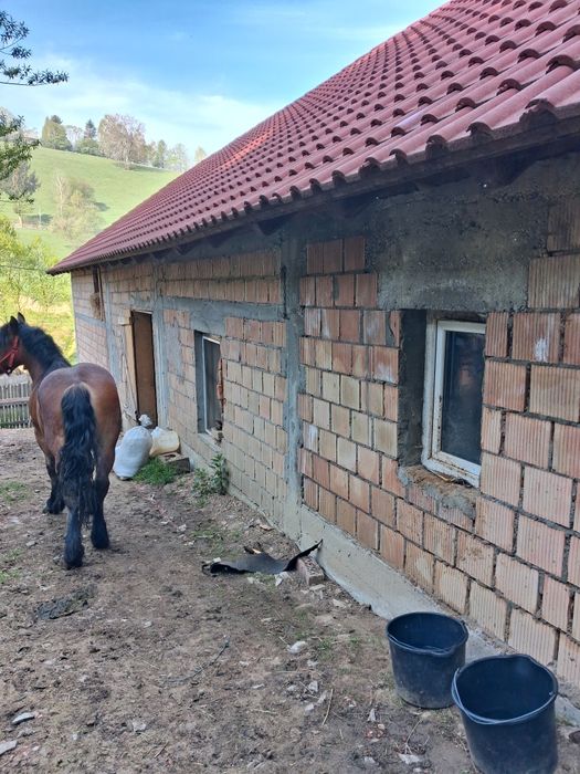 Manză de vânzare