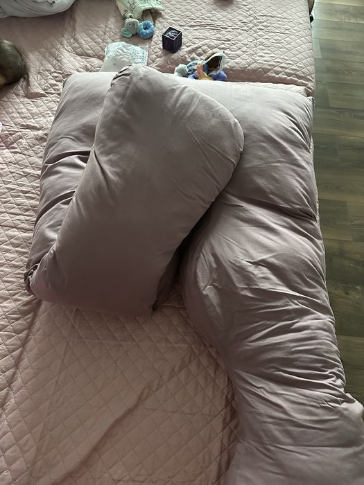 Perna gravida/alaptare