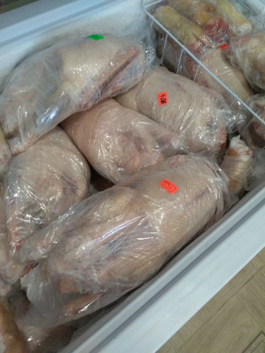 Молодые гуси оптом и в розницу