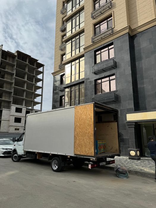 Газель жалданады