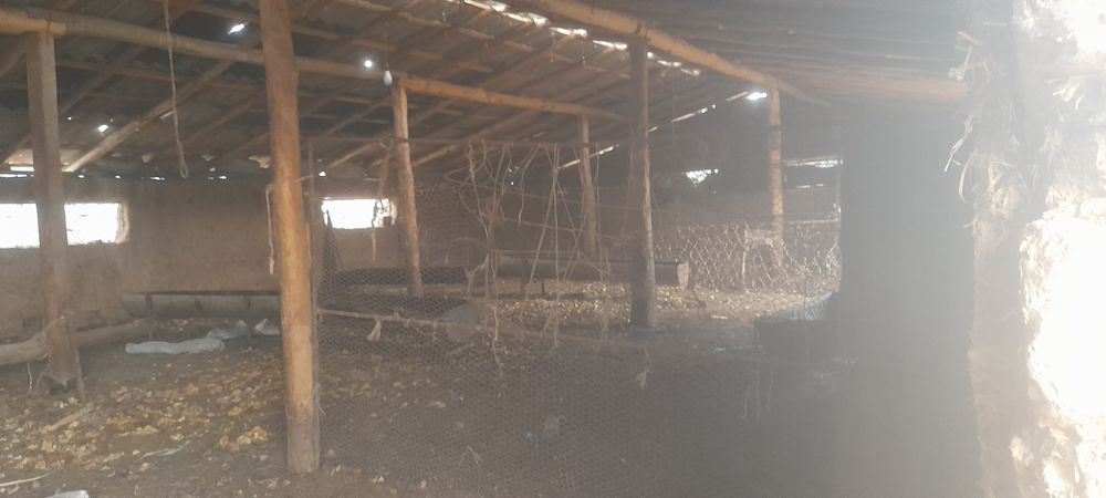 Участок 6соток 2хона уй кадастр документи турар жой мини ферма