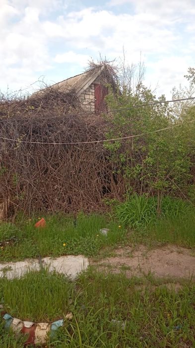 Продам дачу общество арматурщик район желаево