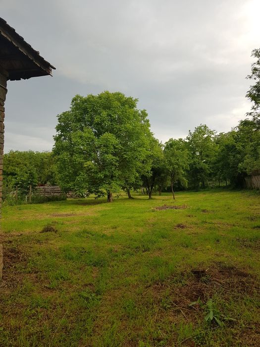 Vând casă batraneasca + teren intravilan în Comuna Danesti