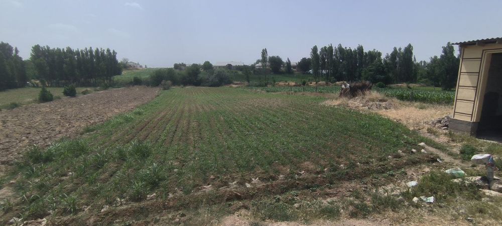 Чиноз тумани эшонобод МФЙ иттифок кучаси 7 А уй сотилади