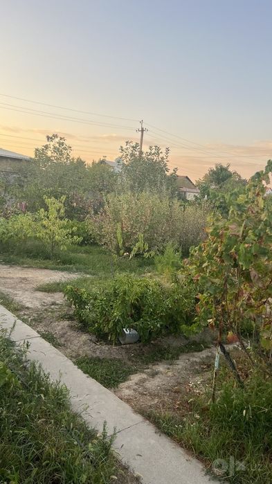 Продается участок ориентир парк Янги Узбекистан 8 соток