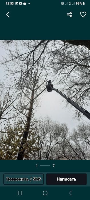 Дерева спил драва резка сандал чурка карагаш  төс