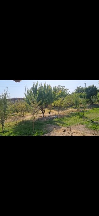 Земельный участок