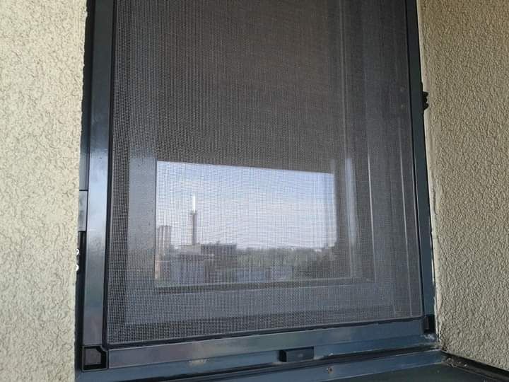 Plase insecte , tântari