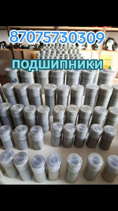 Подшипник Асқарова 233