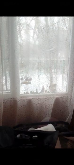 Домик, Кормушка для птиц. Новая.