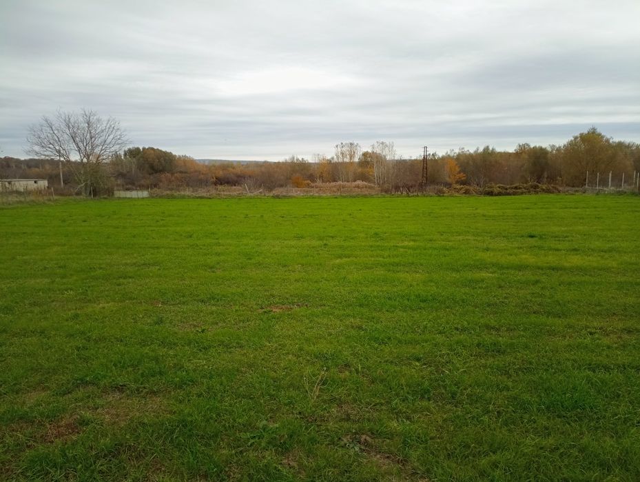 Продава се Парцел в с. Пчелник, Област Варна - 855 кв.м за 18 €/кв.м - Снимка #5