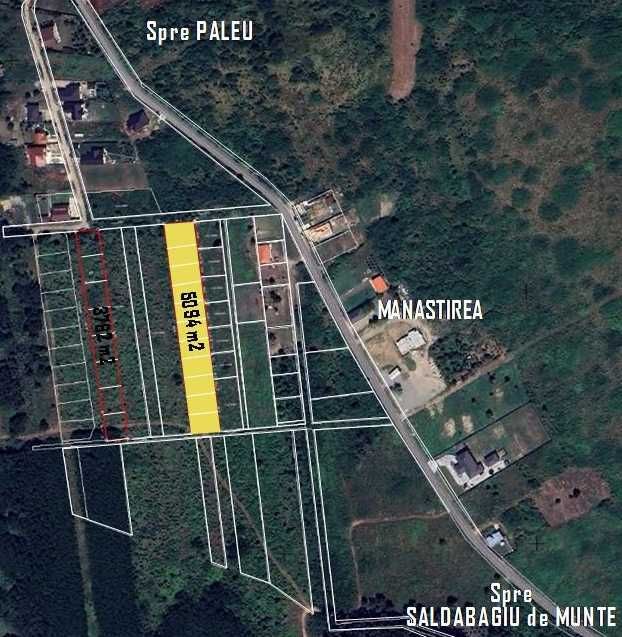 Teren 5094 mp Paleu – lângă lac – ideal investiție / parcelare