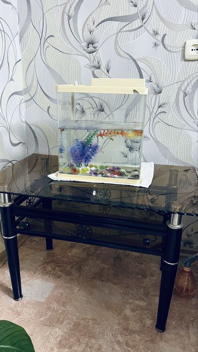 Продам журнальный столик и аквариум