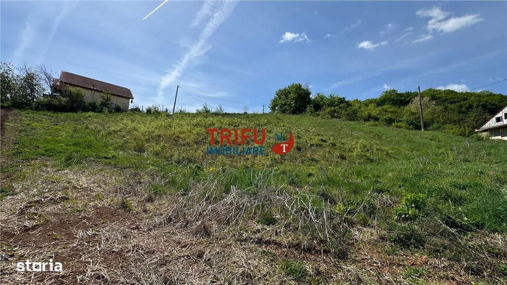 Teren pentru casa de vacanta in Micesti