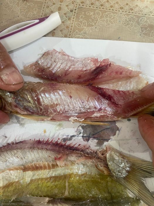 Продам сушенную рыбу чехонь рубец