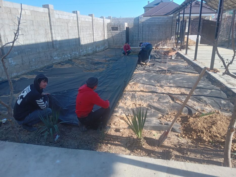 Газон егеміз Гараннтия 100%