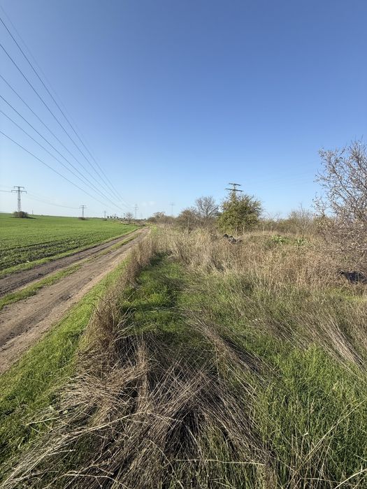 Продава се Парцел в с. Тополи, Област Варна - 9500 кв.м за 16 €/кв.м - Снимка #8