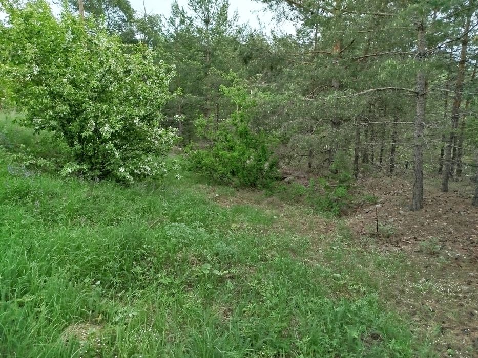 Участок в Голубом заливе. Бухтарма