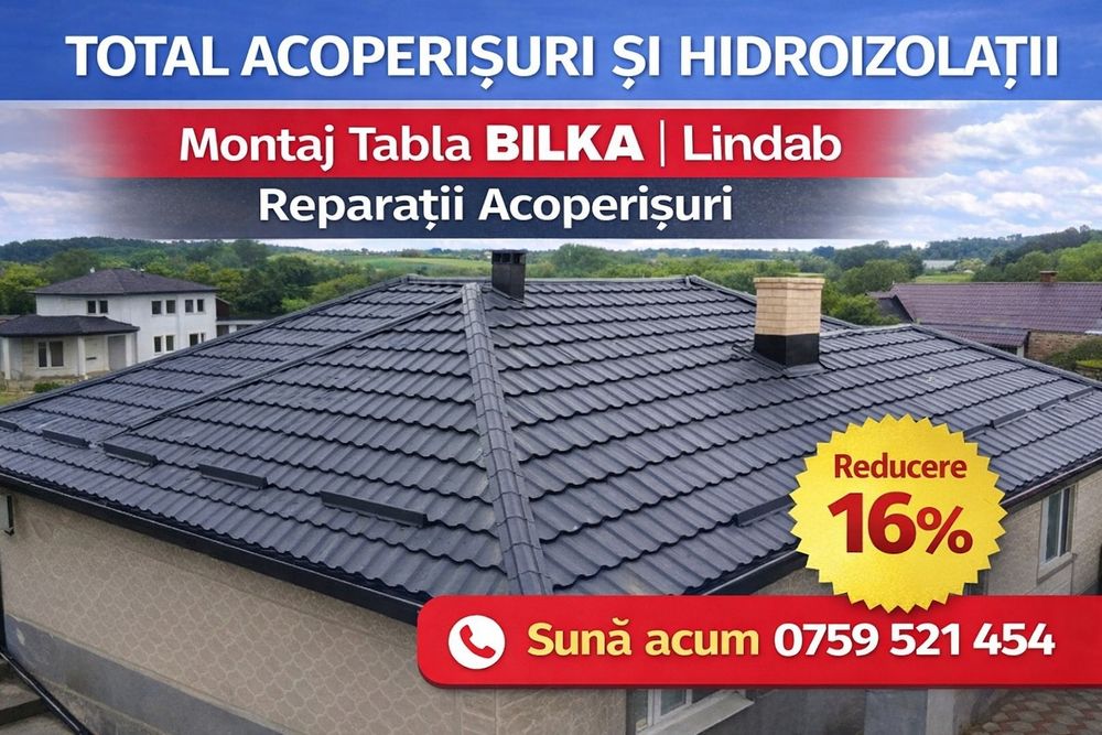 Acoperișuri si Reparații