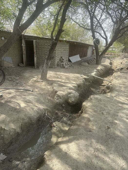 Urdak va g'oz tuxumlari sotiladi inkubator uchun xam bor