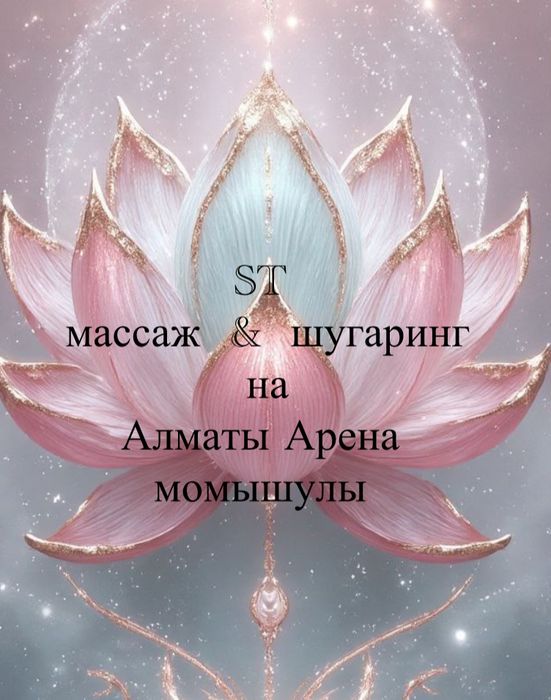 комплекс услуг на Алматы Арена