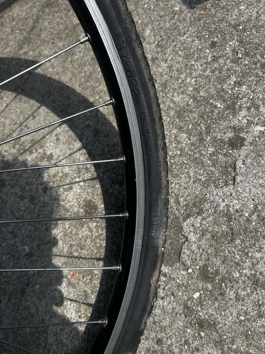 Bicicleta de oras si relaxare Zanghetta